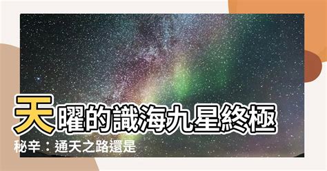 識海九星|【識海九星】天曜捨身傳「識海九星」雁回能否撐過三個月生死。